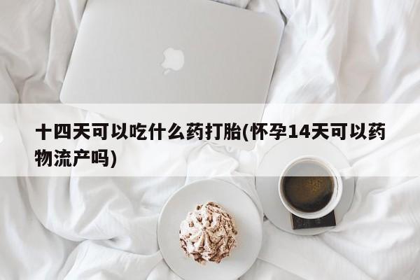 流产药网上专门卖店联系微信十四天可以吃什么药打胎(怀孕14天可以药物流产吗)